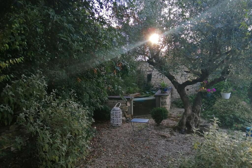 דירות Saint-Sauveur-d'Aunis La Jolie Parenthese מראה חיצוני תמונה